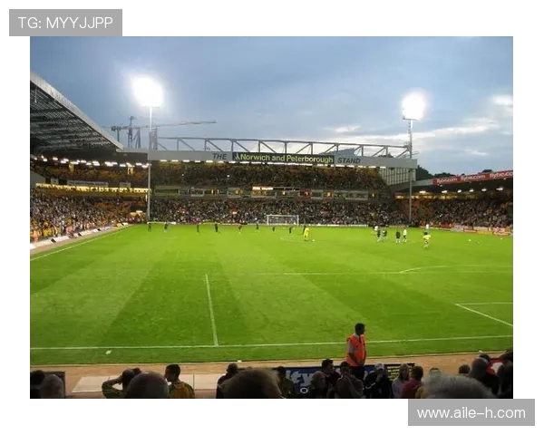 诺维奇卡罗路球场近期赛事安排与观赛指南